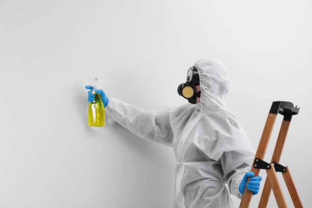 Why You Should Choose Our Mold Remediation Services in Roseville, OH